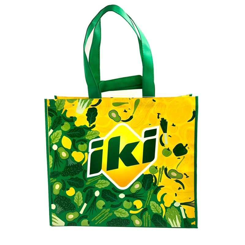 Double Handle Laminated PP Non Woven Shopping Bag for Supermarket